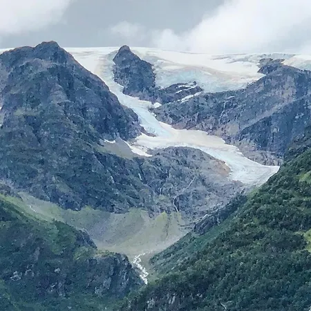 Gjerde * Olden